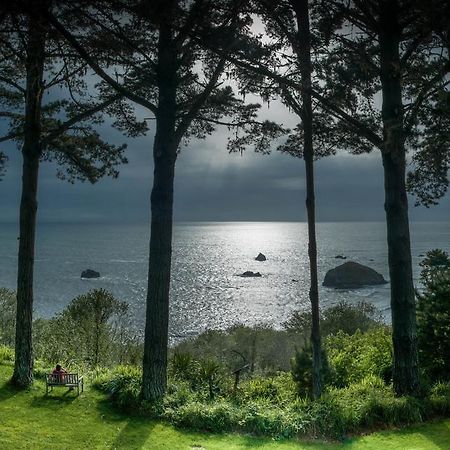 Lost Whale Inn Тринидад Экстерьер фото
