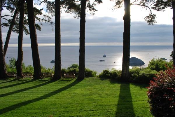 Lost Whale Inn Тринидад Экстерьер фото