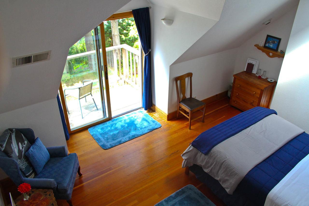 Lost Whale Inn Тринидад Экстерьер фото